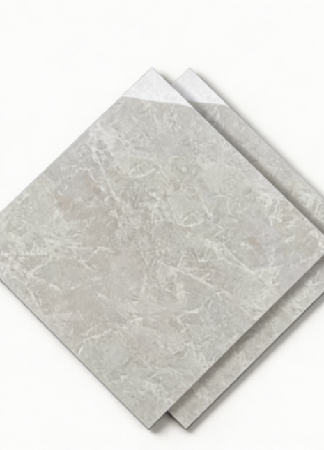 Dongpeng 600×600 Simple Style Ceramic Wall Tiles