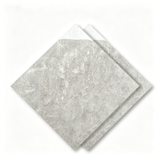 Dongpeng 600×600 Simple Style Ceramic Wall Tiles