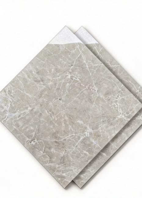 Dongpeng 600×600 Simple Style Ceramic Wall Tiles