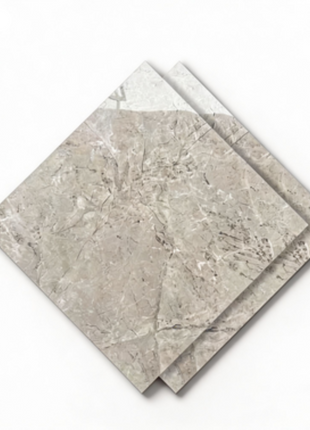 Dongpeng 600×600 Simple Style Ceramic Wall Tiles