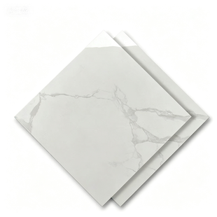 Dongpeng 600×600 Simple Style Ceramic Wall Tiles