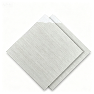 Dongpeng 600×600 Simple Style Ceramic Wall Tiles