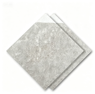 Dongpeng 600×600 Simple Style Ceramic Wall Tiles