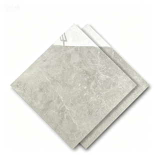 Dongpeng 600×600 Simple Style Ceramic Wall Tiles