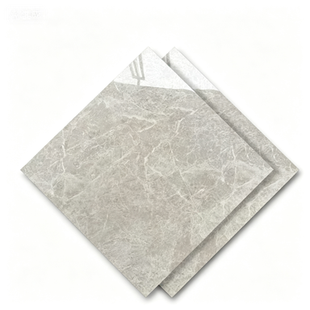 Dongpeng 600×600 Simple Style Ceramic Wall Tiles
