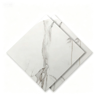 Dongpeng 600×600 Simple Style Ceramic Wall Tiles