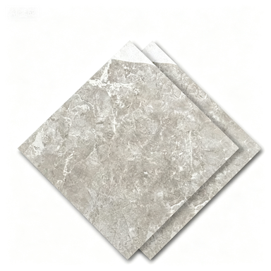Dongpeng 600×600 Simple Style Ceramic Wall Tiles