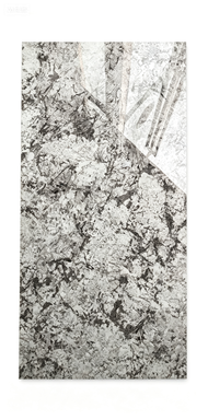 Dongpeng 900×1800 Large Format Tile