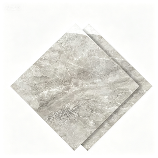 Dongpeng 600×600 Simple Style Ceramic Wall Tiles