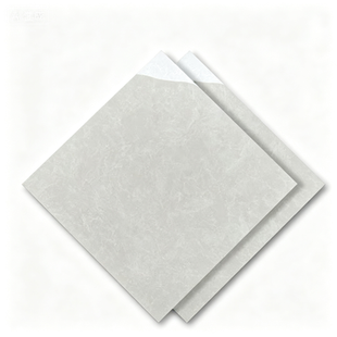 Dongpeng 600×600 Simple Style Ceramic Wall Tiles