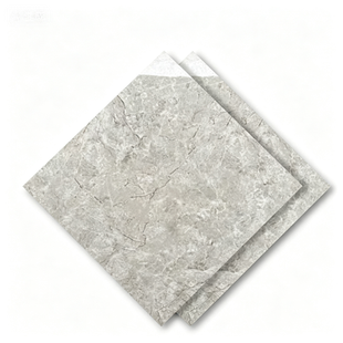 Dongpeng 600×600 Simple Style Ceramic Wall Tiles