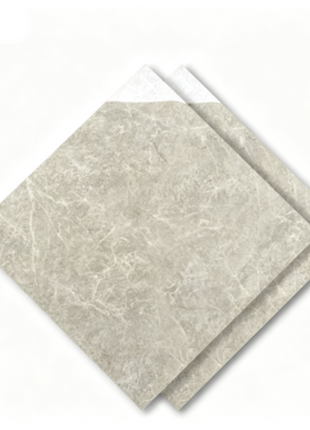 Dongpeng 600×600 Simple Style Ceramic Wall Tiles