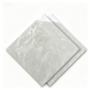 Dongpeng 600×600 Simple Style Ceramic Wall Tiles
