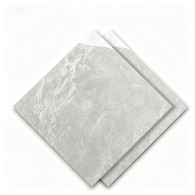 Dongpeng 600×600 Simple Style Ceramic Wall Tiles