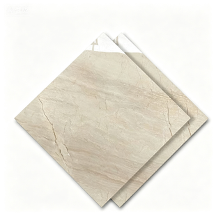 Dongpeng 600×600 Simple Style Ceramic Wall Tiles