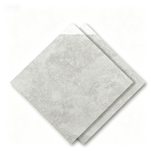 Dongpeng 600×600 Simple Style Ceramic Wall Tiles