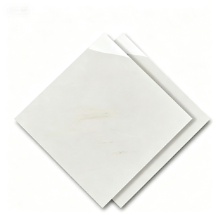 Dongpeng 600×600 Simple Style Ceramic Wall Tiles