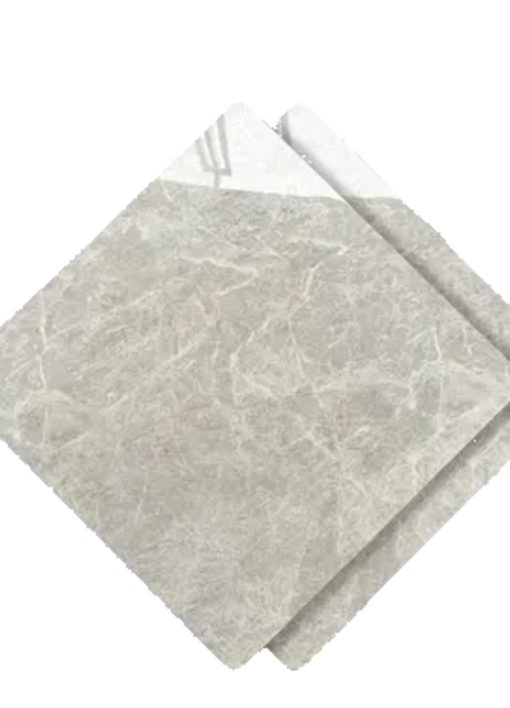 Dongpeng 600×600 Simple Style Ceramic Wall Tiles