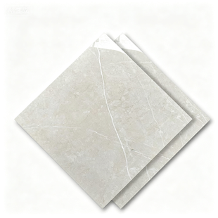 Dongpeng 600×600 Simple Style Ceramic Wall Tiles