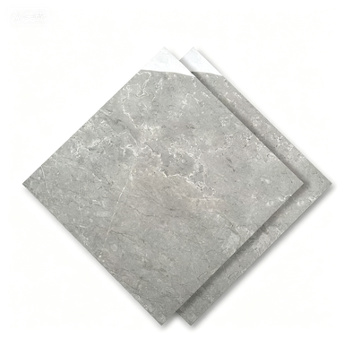 Dongpeng 600×600 Simple Style Ceramic Wall Tiles