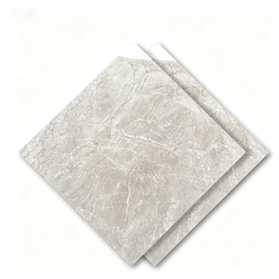 Dongpeng 600×600 Simple Style Ceramic Wall Tiles