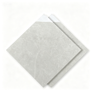 Dongpeng 600×600 Simple Style Ceramic Wall Tiles